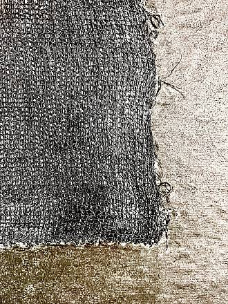 In_disciplinata